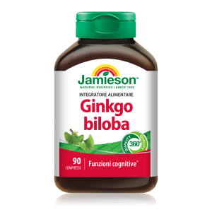 GINKGO BILOBA 90 cpr
