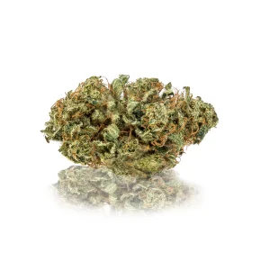 Canapa Light Blue | Orange CBD Indoor