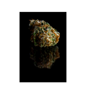 Artemisia | Aliens on Moonshine ⚡Sfuso