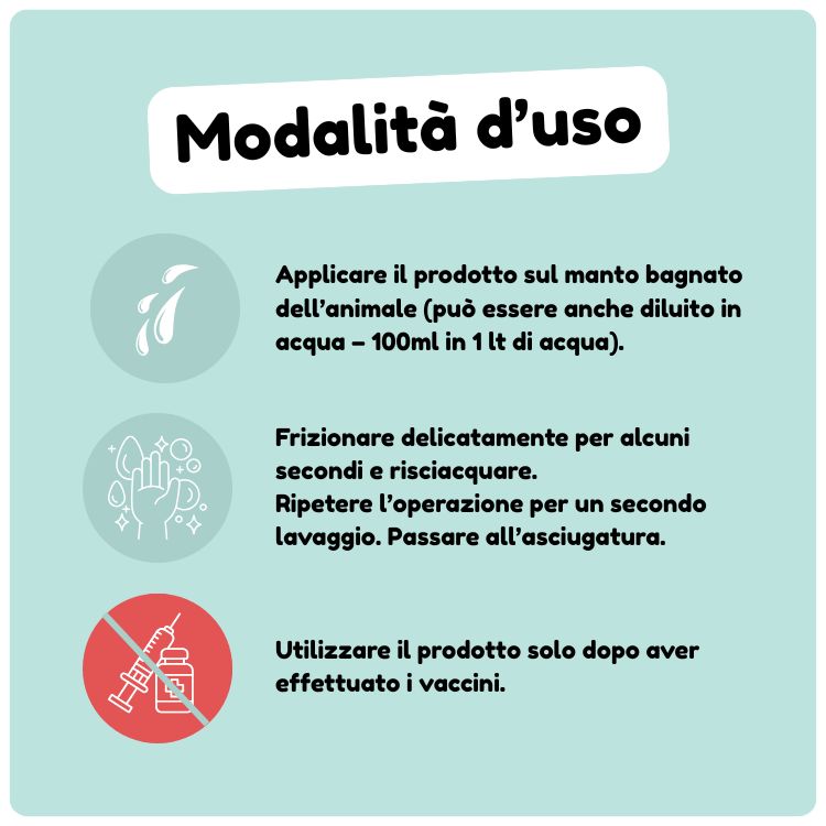 Cuccioli - immagine 2