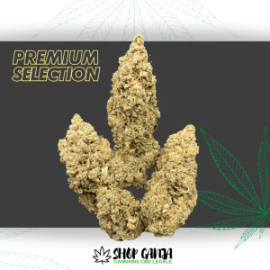 Idro Cannabis | Chl 12 ⚡Sfuso