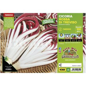 Cicoria e Radicchio Rosso di Treviso tardivo “Sile”