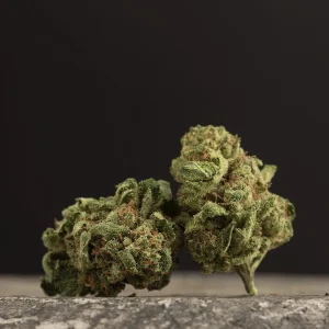 La Canapa Legale | Northern Lights Hydroponic Indoor CBD Small Buds