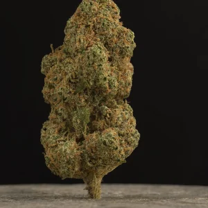 La Canapa Legale | L.A. Gelato CBD Indoor