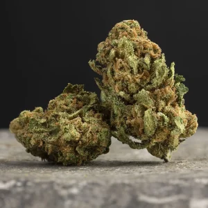 La Canapa Legale | L.A. Gelato Hydroponic Indoor CBD Small Buds
