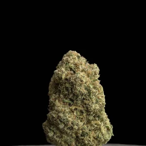 La Canapa Legale | Santa Maria Hydroponic Indoor CBD Small Buds