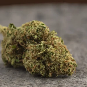 La Canapa Legale | Cannalope Haze CBD Small Buds Hydroponic Indoor