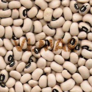 FAGIOLI CON L’OCCHIO conf da 1kg