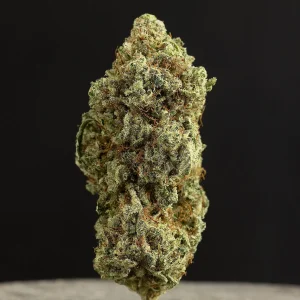 La Canapa Legale | Fragolina CBD Indoor