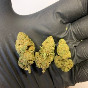 420 Solution | Florida Gold ⚡Sfuso