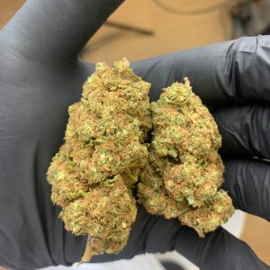 Babilogna | Celestial Dream