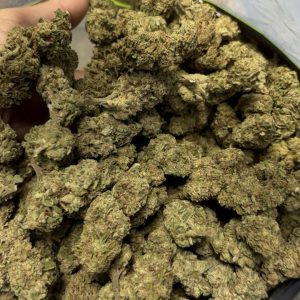 City Jangle | Lavender Breeze 100 Grammi