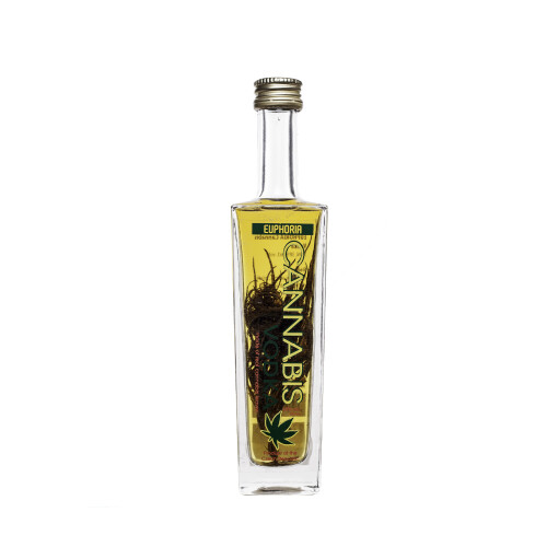 Euphoria Spirit | Cannabis Vodka – 50 ml con pianta di canapa decorativa