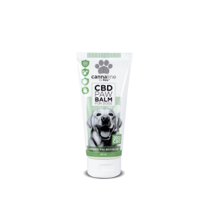 CBD Paw Balm for Dogs (200 mg CBD) 100 ml Gentle care for active paws