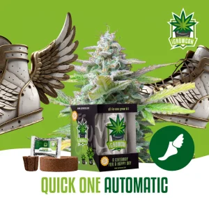 igrowcan | QUICK ONE AUTOMATIC (IGC)