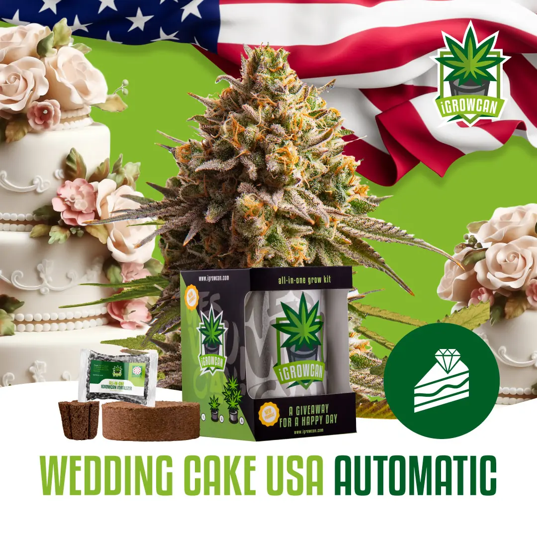 igrowcan | WEDDING CAKE USA AUTO (IGC)