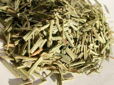 Psychoactive Herbs | Cymbopogon Citratus Lemongrass