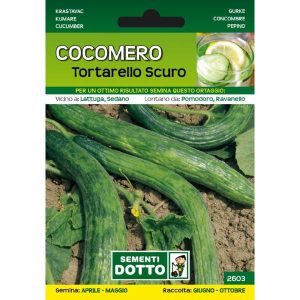 Sementi da Orto – Cetriolo Cocomero Tortarello scuro – Sem. Dotto