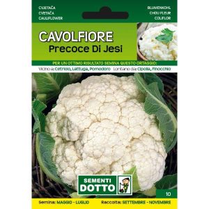 Sementi da Orto – Cavolfiore Precoce di Jesi – Sem. Dotto