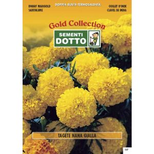 Gold Collection – TAGETE Nana Gialla – h cm 25