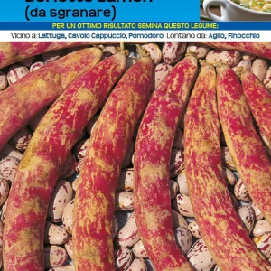 Fagiolo rampicante Borlotto Lamon