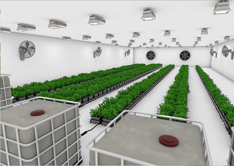 AUTOPOT | Sistema easy2grow 20 - immagine 4