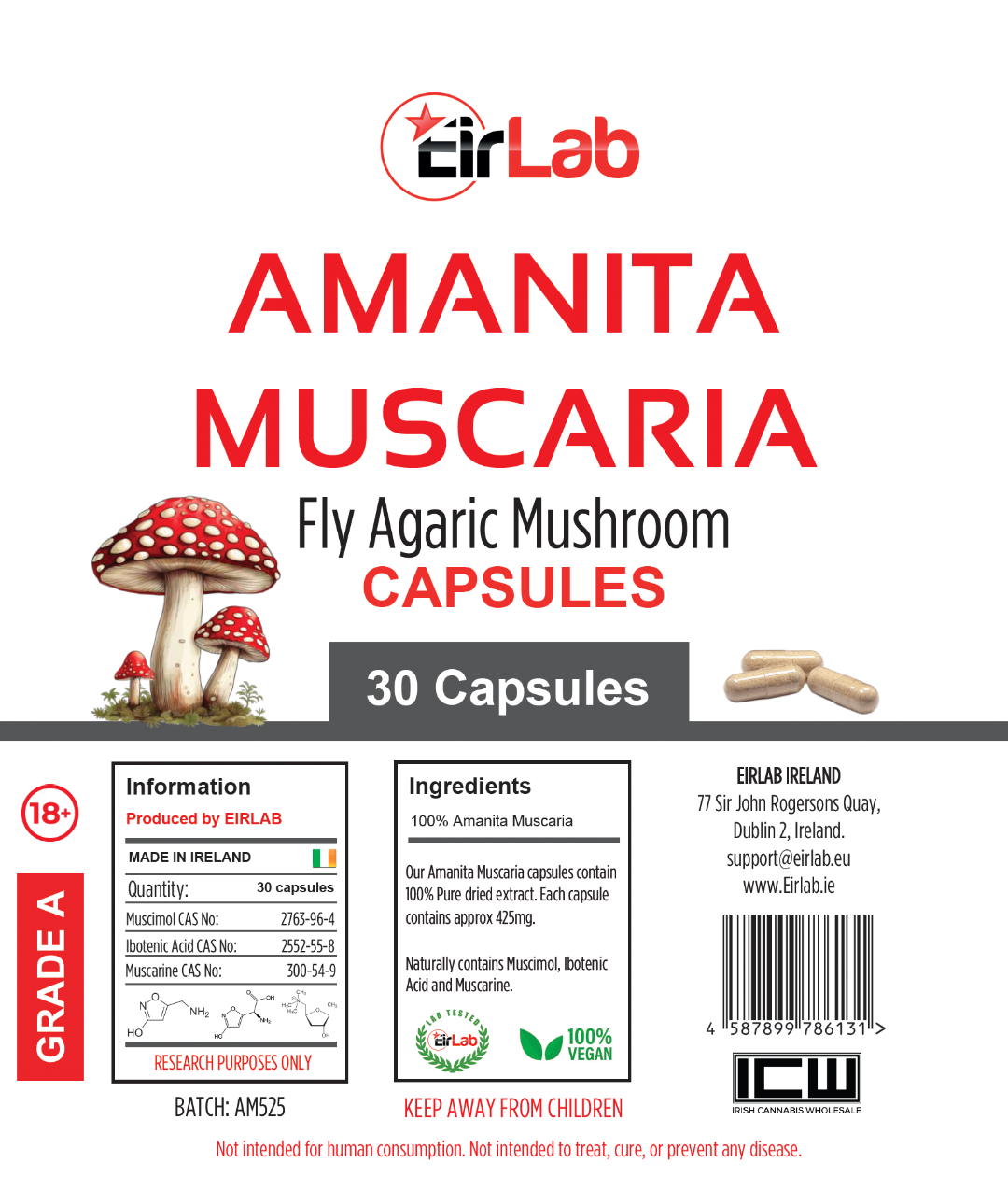 ICW | AMANITA MUSCARIA – BULK - immagine 3