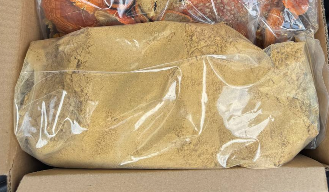 ICW | AMANITA MUSCARIA – BULK - immagine 7