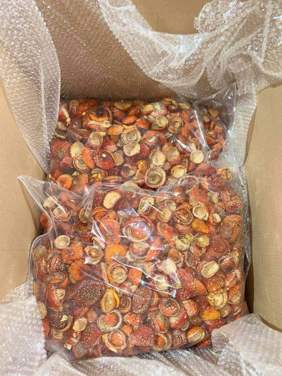 ICW | AMANITA MUSCARIA – BULK - immagine 2