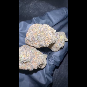 BullDog Coffeshop Amsterdam | Weed |  Fanta Very Berry