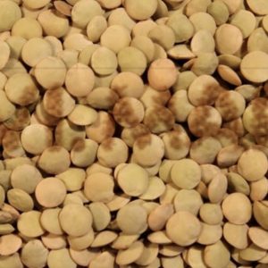 LENTICCHIA GROSSA conf da 1kg