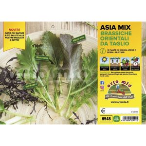 Lattuga Mix di brassiche Orientali Asia