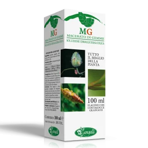 MG Betulla (Betula verrucosa) linfa 100  ml Sangalli