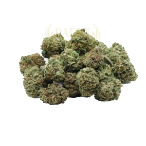 Radici Farm Shop | Mini Buds Mimosa Zkittlez – Cannabis Light