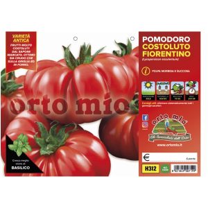 Pomodoro costoluto fiorentino “Novoli/Successo F1”