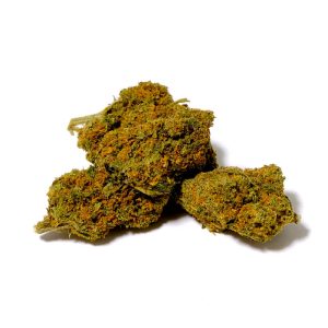 Mister Canapa | Voyager – Candy Kush