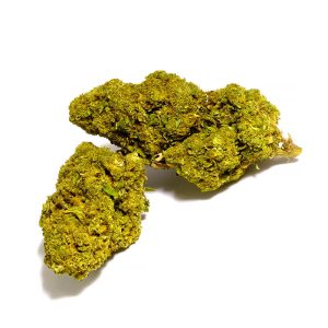 Mister Canapa | Ramones | Fruit Cake