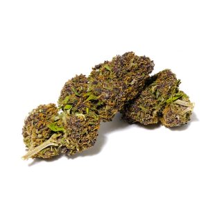 Mister Canapa | Deep Purple – Purple Haze