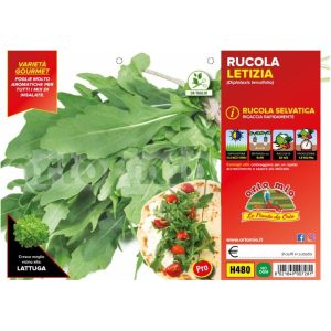 Rucola selvatica “Letizia”