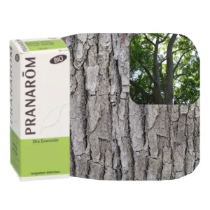 Pranarom Olio Essenziale Legno di Ho