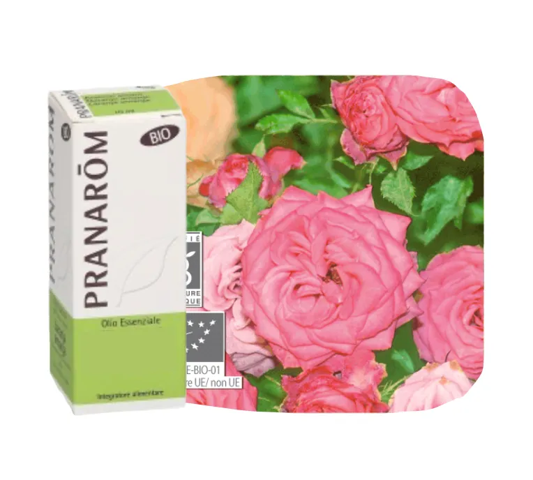 Rosa Damascena Olio Essenziale Pranarom