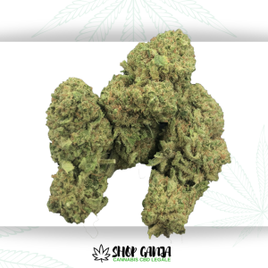 OldWeedWest | Skunk ⚡Sfuso