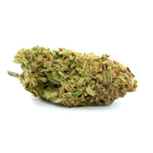 Herb Approach | Strawberry Shortcak Δ⁹ THC