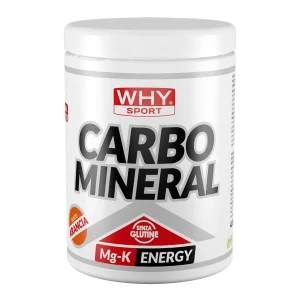 Carbo Mineral Arancia 400 gr Why Sport