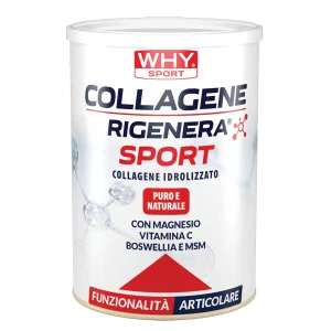 Collagene Rigenera Sport 336 gr Why Sport