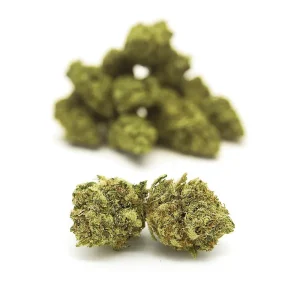 La Canapa Legale | Lemon CBD Small Buds
