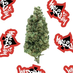 La Canapa Legale | Harlequin CBD