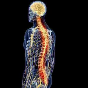 La Neurodinamica in Fisioterapia: valutazione e trattamento – Napoli 2025