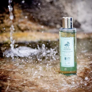 Olio di Vinaccioli Puro