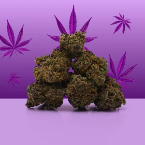 Mama Kana | Purple Haze CBD Small Buds 🟣